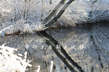 有钱花逾期走流程 有钱花逾期走流程