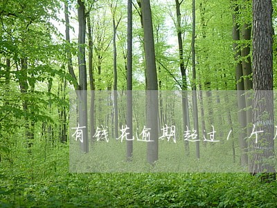 有钱花逾期超过1个月 有钱花逾期超过1个月