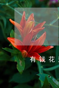 有钱花逾期跟客服协商 有钱花逾期跟客服协商