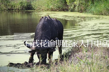 有钱花逾期跟家人打电话违法吗 有钱花逾期跟家人打电话违法吗