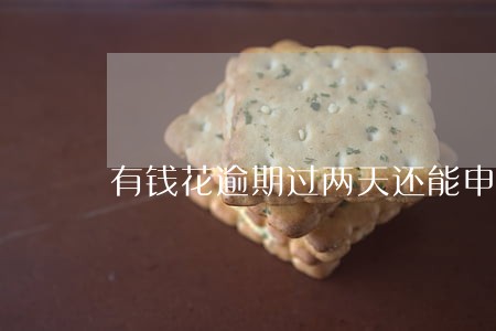 有钱花逾期过两天还能申请吗 有钱花逾期过两天还能申请吗