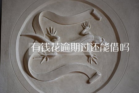 有钱花逾期过还能借吗 有钱花逾期过还能借吗