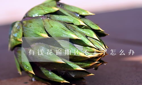 有钱花逾期还不上了怎么办 有钱花逾期还不上了怎么办