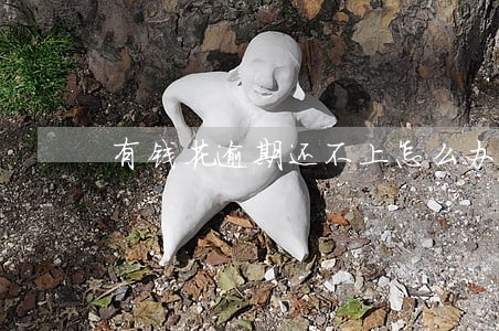 有钱花逾期还不上怎么办八万多 有钱花逾期还不上怎么办八万多