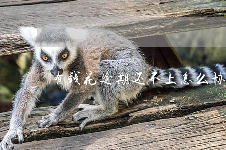 有钱花逾期还不上怎么协商电话 有钱花逾期还不上怎么协商电话