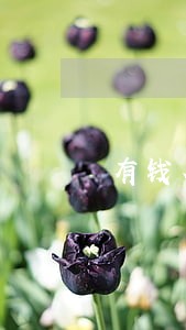 有钱花逾期还不上怎么协商还款 有钱花逾期还不上怎么协商还款