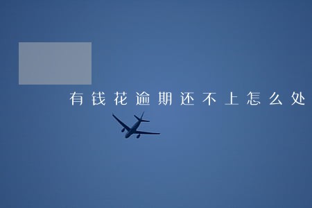 有钱花逾期还不上怎么处理 有钱花逾期还不上怎么处理