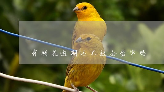 有钱花逾期还不起会坐牢吗 有钱花逾期还不起会坐牢吗