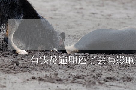 有钱花逾期还了会有影响吗 有钱花逾期还了会有影响吗