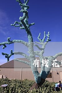 有钱花逾期还了可以提前还款吗 有钱花逾期还了可以提前还款吗