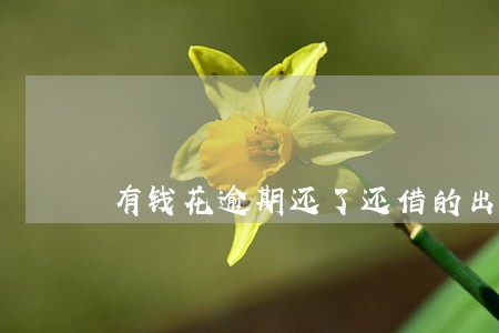 有钱花逾期还了还借的出来吗 有钱花逾期还了还借的出来吗
