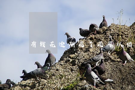 有钱花逾期还了还可以借吗 有钱花逾期还了还可以借吗