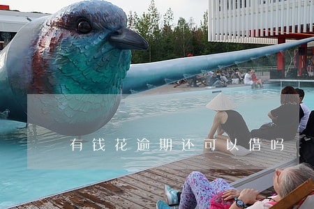 有钱花逾期还可以借吗 有钱花逾期还可以借吗