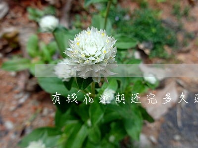 有钱花逾期还完多久还可以用 有钱花逾期还完多久还可以用