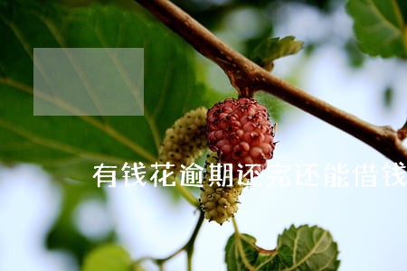 有钱花逾期还完还能借钱吗 有钱花逾期还完还能借钱吗