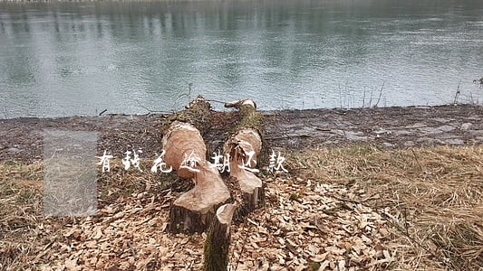 有钱花逾期还款 有钱花逾期还款