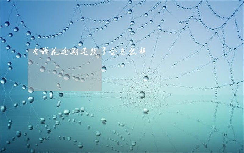 有钱花逾期还款了会怎么样 有钱花逾期还款了会怎么样