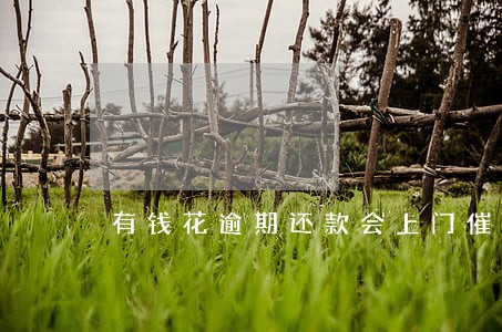 有钱花逾期还款会上门催收吗