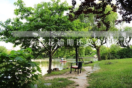 有钱花逾期还款会怎么样 有钱花逾期还款会怎么样