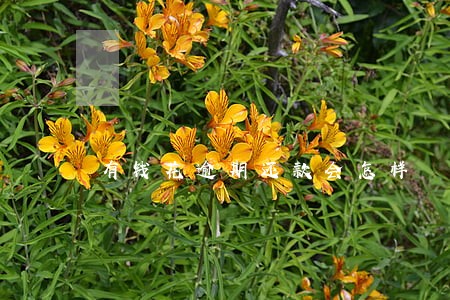 有钱花逾期还款会怎样 有钱花逾期还款会怎样
