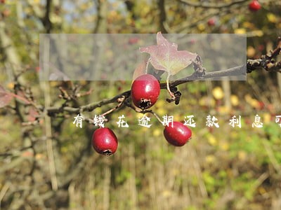 有钱花逾期还款利息可以免吗 有钱花逾期还款利息可以免吗