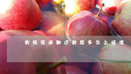 有钱花逾期还款后多久上征信