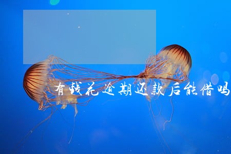 有钱花逾期还款后能借吗 有钱花逾期还款后能借吗