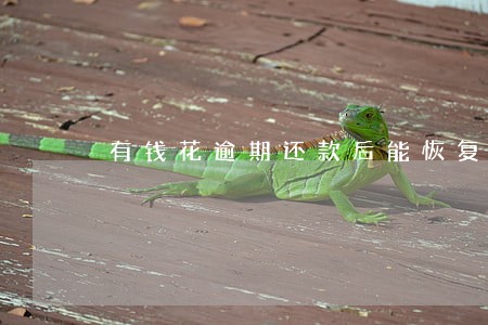 有钱花逾期还款后能恢复额度吗 有钱花逾期还款后能恢复额度吗