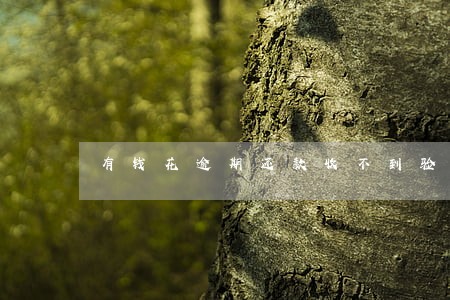 有钱花逾期还款收不到验证码