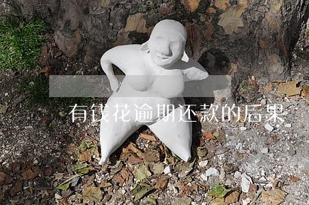 有钱花逾期还款的后果 有钱花逾期还款的后果