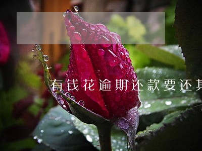 有钱花逾期还款要还其他账户 有钱花逾期还款要还其他账户