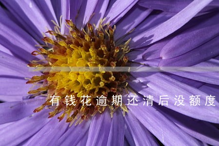 有钱花逾期还清后没额度了 有钱花逾期还清后没额度了