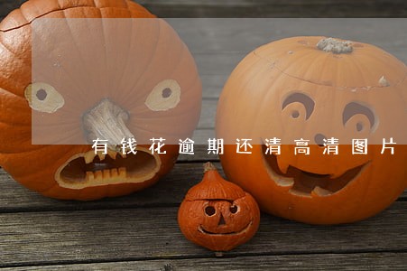 有钱花逾期还清高清图片 有钱花逾期还清高清图片