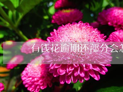 有钱花逾期还部分会怎么样 有钱花逾期还部分会怎么样