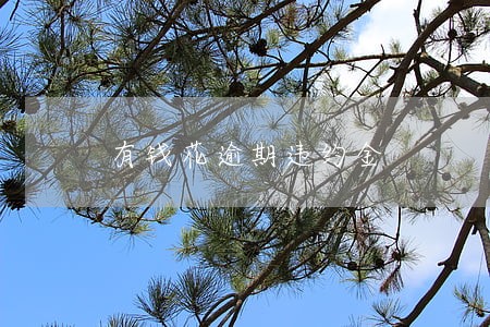 有钱花逾期违约金 有钱花逾期违约金