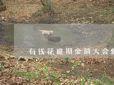 有钱花逾期金额大会爆通讯录吗 有钱花逾期金额大会爆通讯录吗