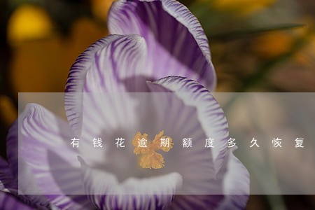 有钱花逾期额度多久恢复 有钱花逾期额度多久恢复