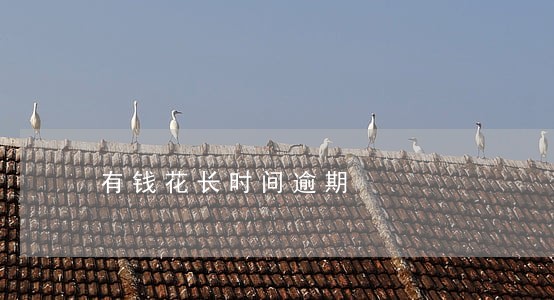 有钱花长时间逾期 有钱花长时间逾期