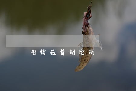 有钱花首期逾期 有钱花首期逾期