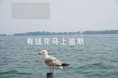 有钱花马上逾期 有钱花马上逾期