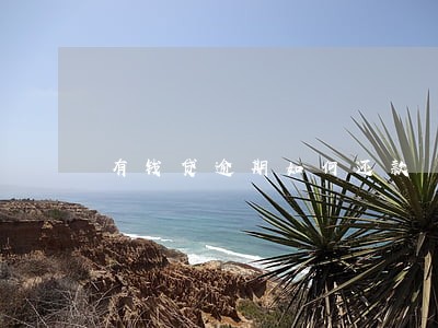 有钱贷逾期如何还款 有钱贷逾期如何还款