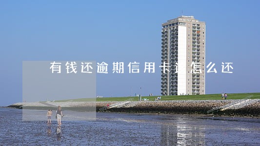 有钱还逾期信用卡该怎么还