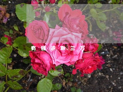 有钱逾期三万 有钱逾期三万