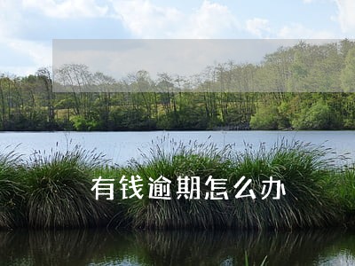 有钱逾期怎么办 有钱逾期怎么办