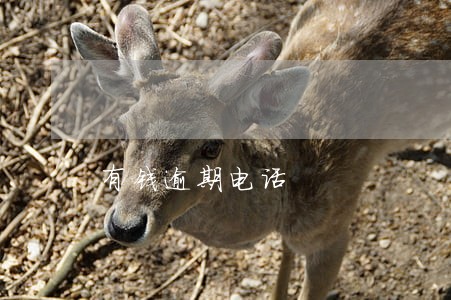 有钱逾期电话 有钱逾期电话