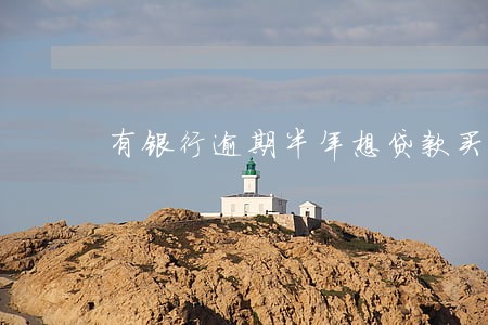 有银行逾期半年想贷款买房 有银行逾期半年想贷款买房