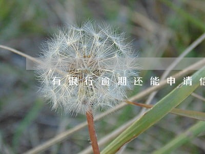 有银行逾期还能申请信用卡吗
