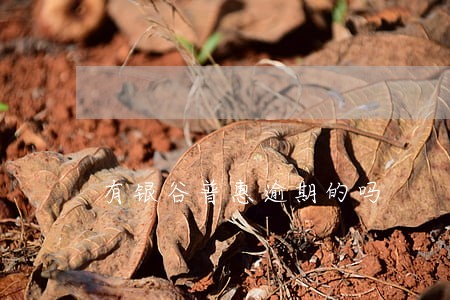 有银谷普惠逾期的吗
