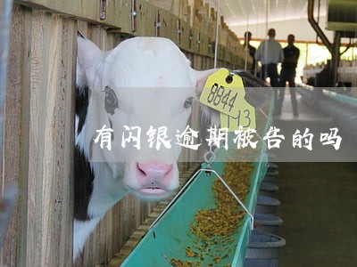 有闪银逾期被告的吗 有闪银逾期被告的吗