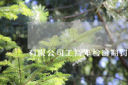 有限公司工商年检逾期罚款 有限公司工商年检逾期罚款